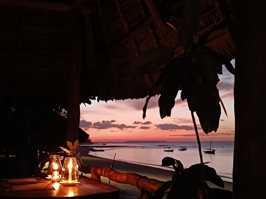 Mafia Whale Shark Tours-Kilindoni必去景点