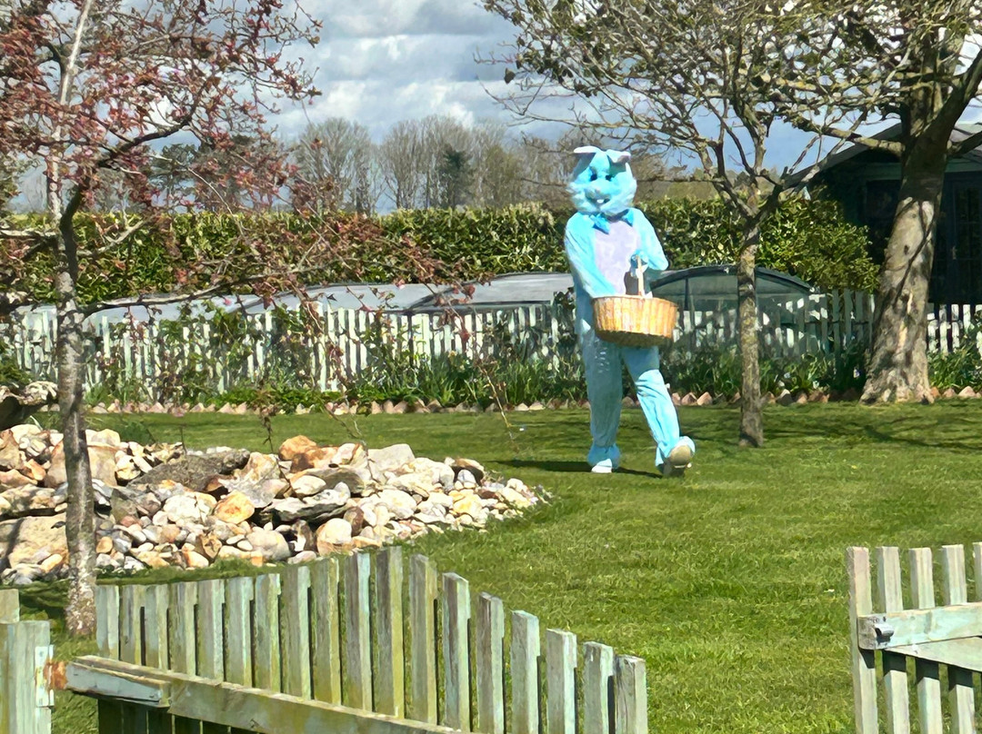 雉鸡乡村民宿主图