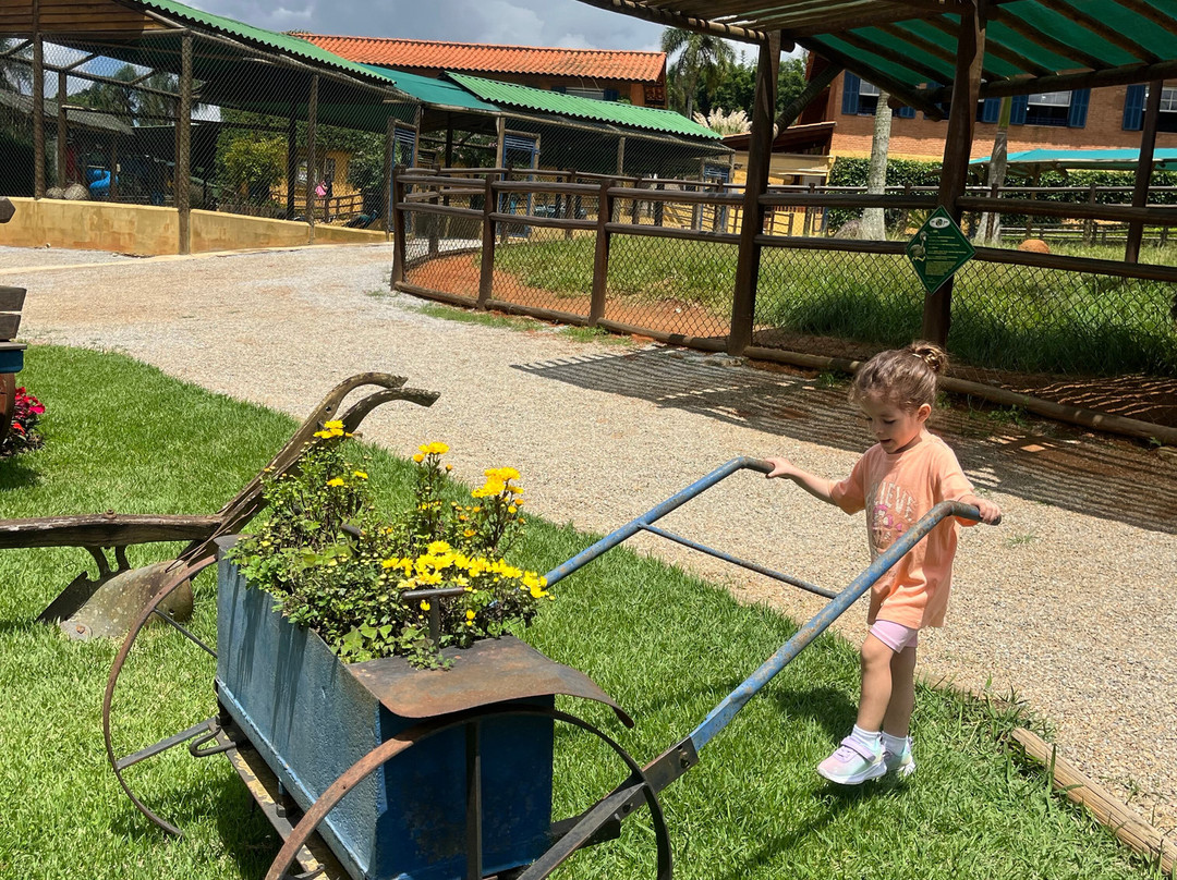 Mini Fazenda Pet Zoo-Cotia必去景点