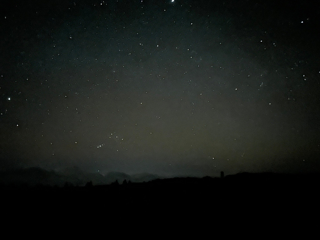 Discover Tenerife VIP Tours-圣克鲁斯-德特内里费必去景点