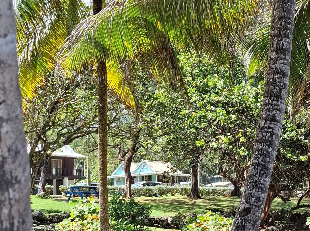 Bathsheba Park-Bathsheba必去景点