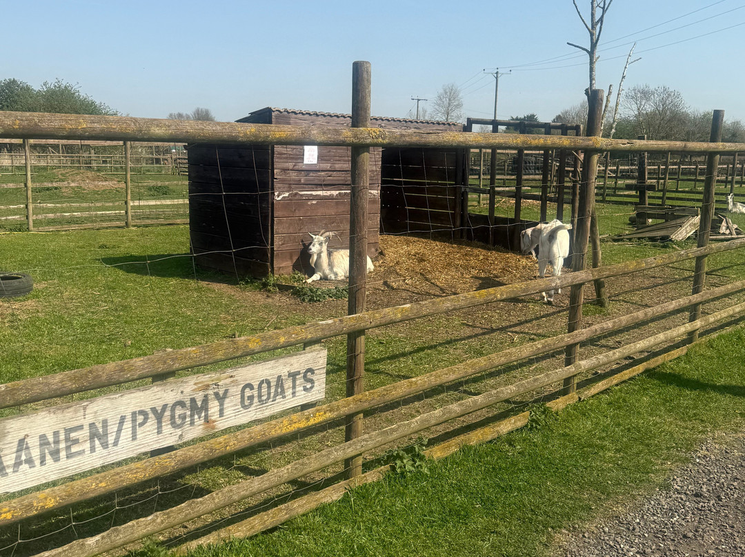 Little Jack's Farm and Garden Centre-Bottesford必去景点