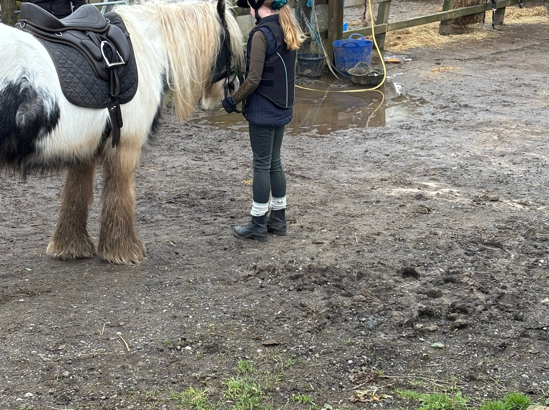 Charnwood Forest Alpacas-Boundary必去景点