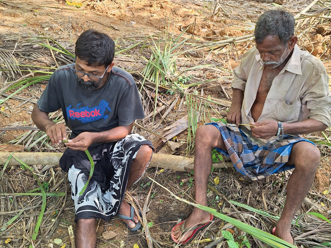 Elephant Freedom Project-凯格勒 必去景点