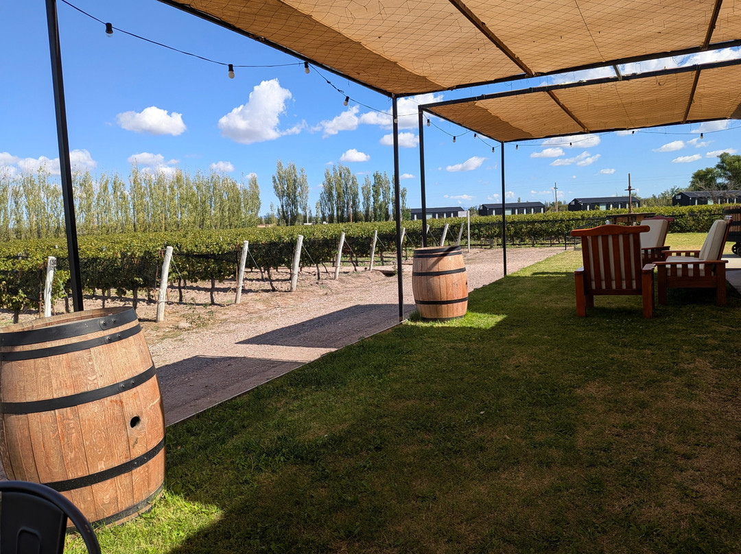 Bodega Iaccarini-圣拉斐尔必去景点