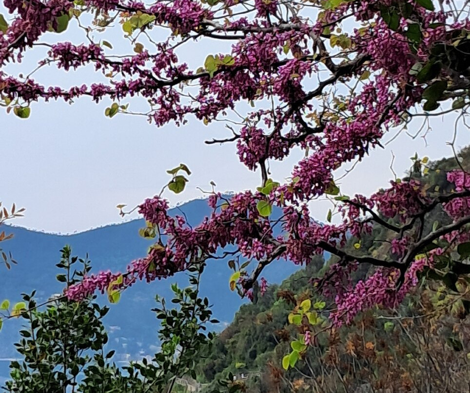 Sentiero Vernazza a Corniglia-韦尔纳扎必去景点