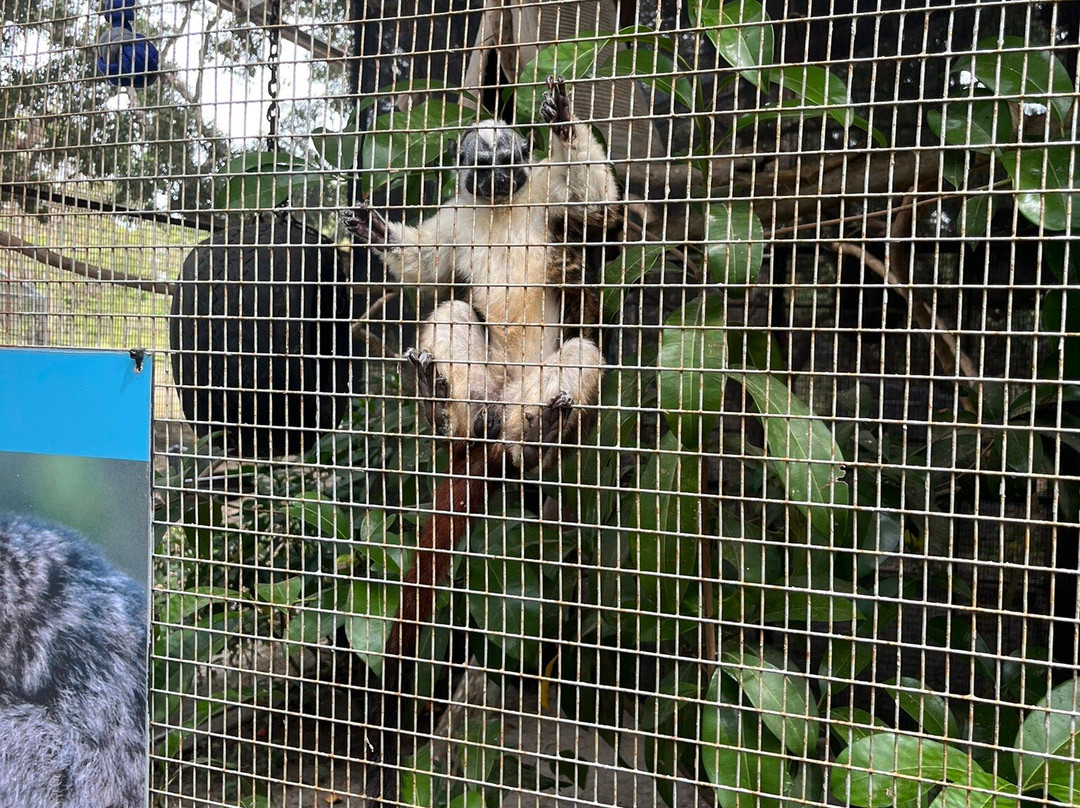Buenaventura Zoo-雷哈托必去景点