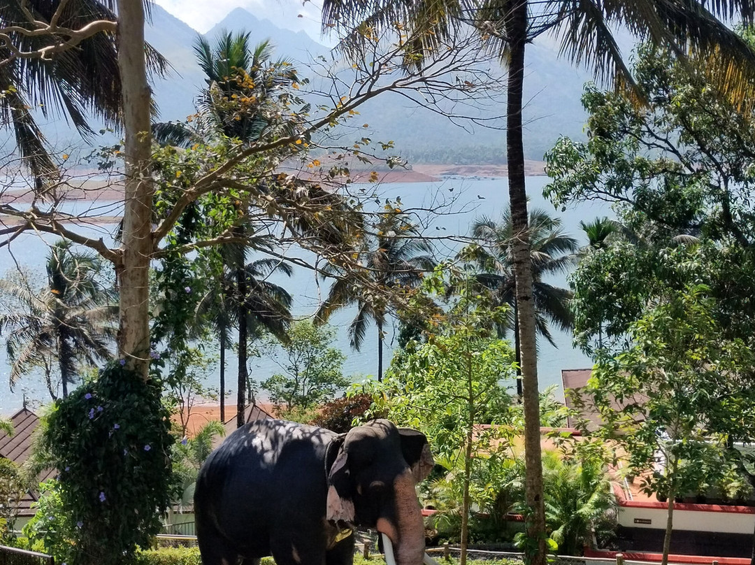 喀拉拉邦塔吉韦援度度假酒店和水疗中心主图