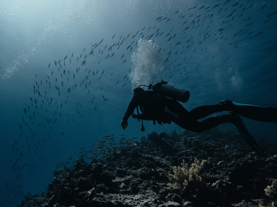 Fish & Friends Diving Centre-达哈卜必去景点
