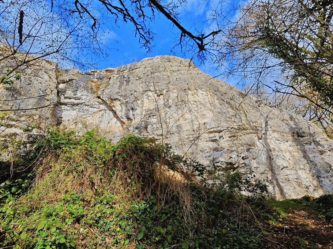 Site d'escalade de Beauvoir-Vouneuil-sous-Biard必去景点