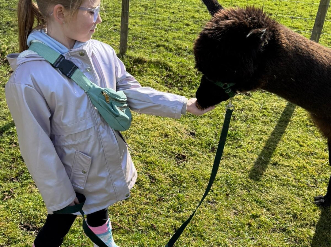 Wee Eden-West Calder必去景点