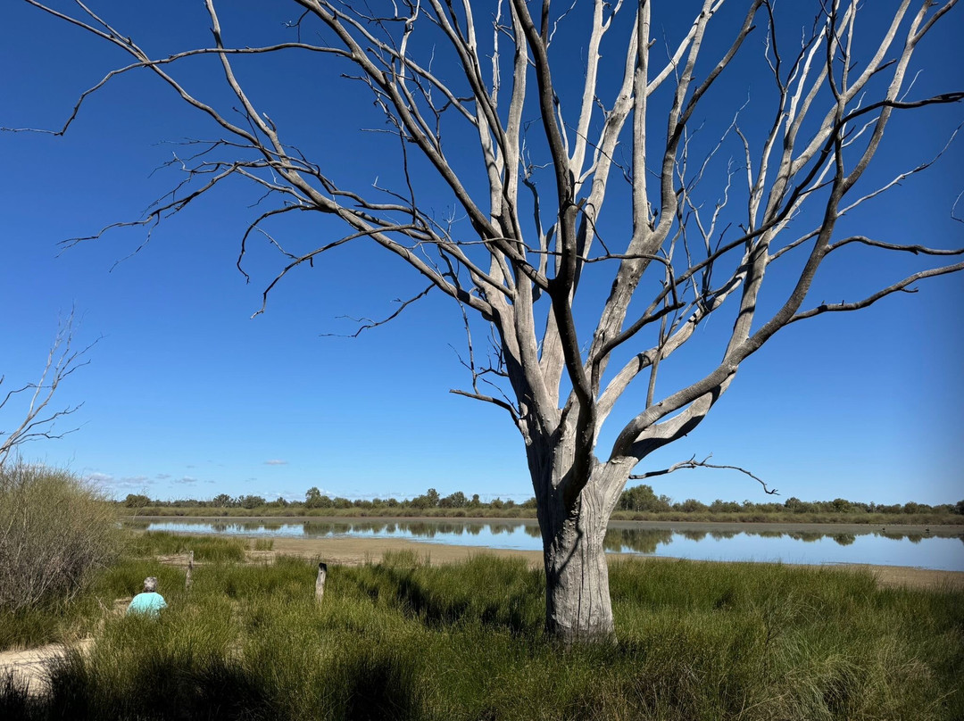 Murray River Trails-Renmark必去景点