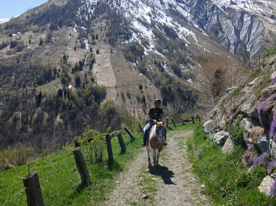 Les crins sauvages-Saint-Sorlin-d'Arves必去景点
