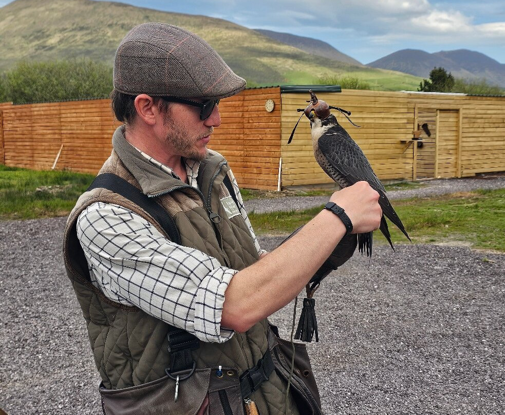 Kingdom Falconry - Dingle-丁格尔必去景点