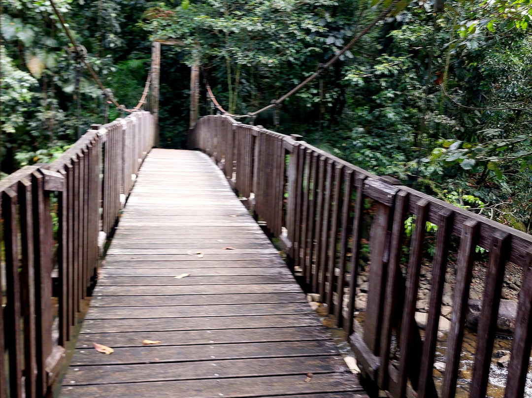 Tarzan Excursion Guadeloupe-Sainte-Anne必去景点