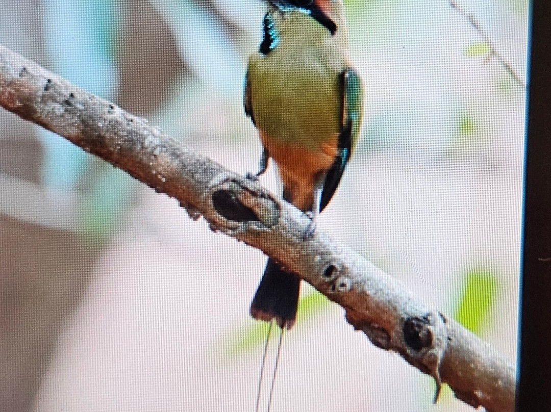 Woodpecker Educational Tours-Canas必去景点