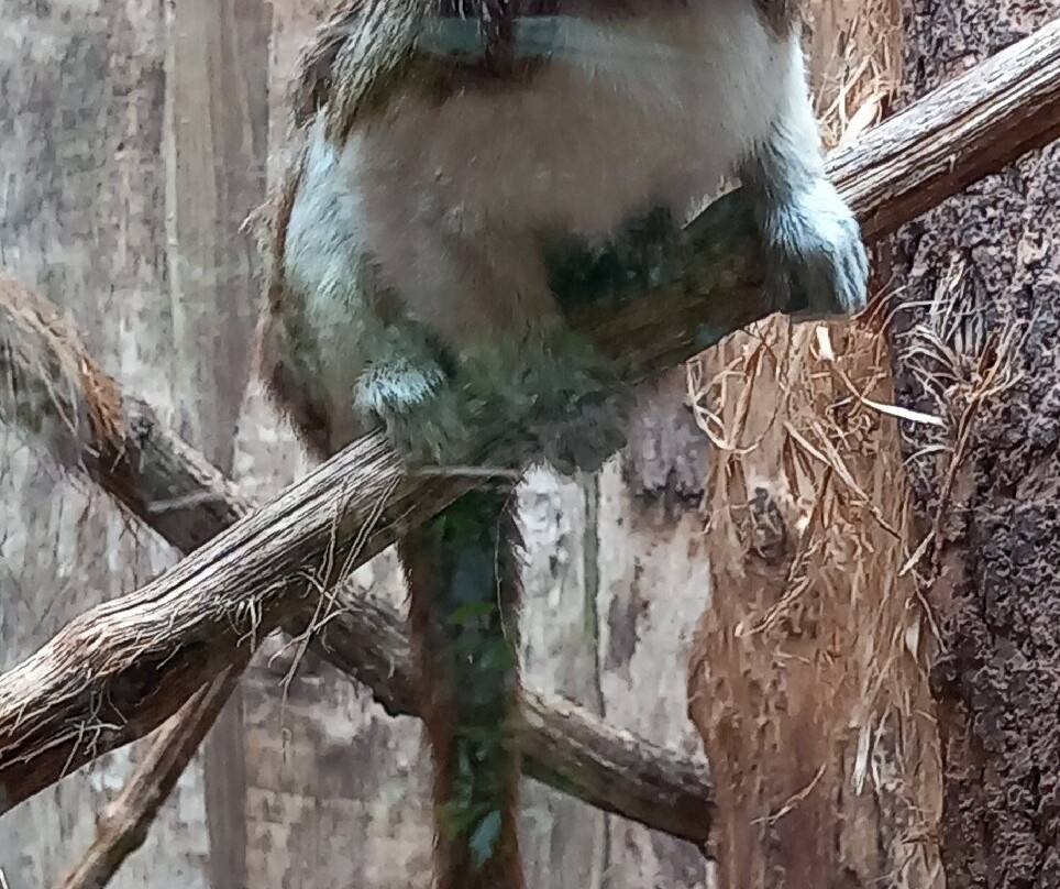 Les Jardins Animaliers Biotropica-Val de Reuil必去景点