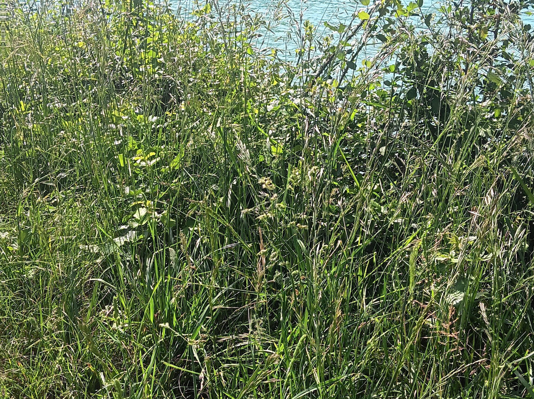 Lac de Saint-Sernin-Montcuq en Quercy Blanc必去景点