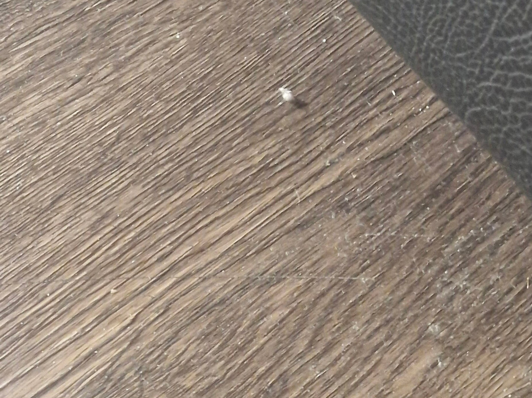 诺登宫殿酒店主图