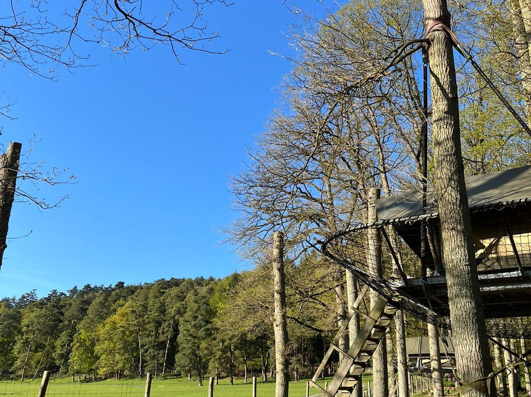 Domaine Des Grottes De Han-Han-sur-Lesse必去景点
