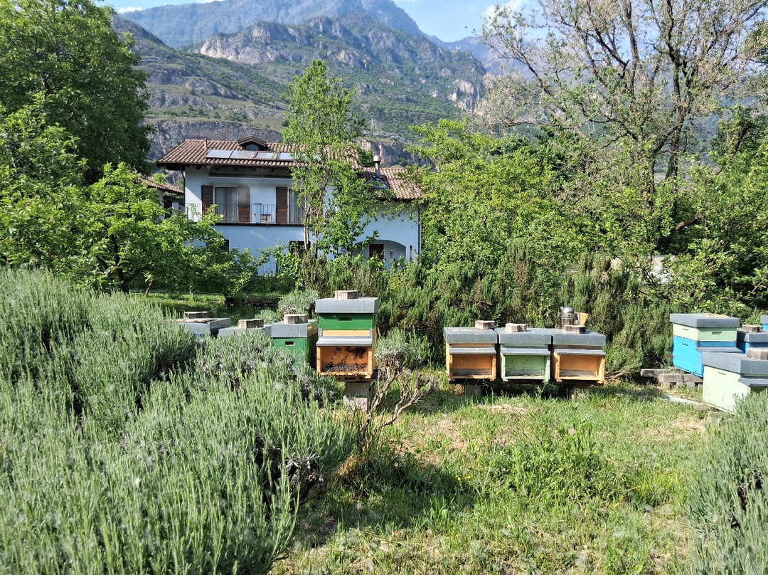 Bim Bum Baaam Fantaparco Fattoria Didattica-Bussoleno必去景点