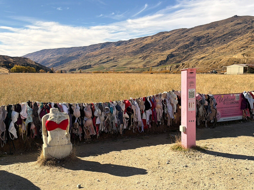 Cardrona Bra Fence-卡德罗纳必去景点
