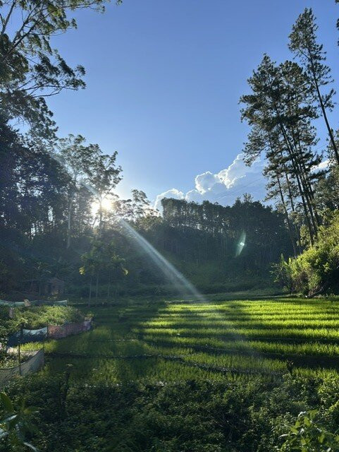 Ceylon Escapes-科伦坡必去景点