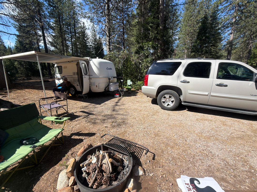 Lake Siskiyou Camp - Resort