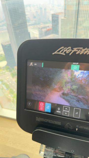 重庆尼依格罗酒店-旅行者