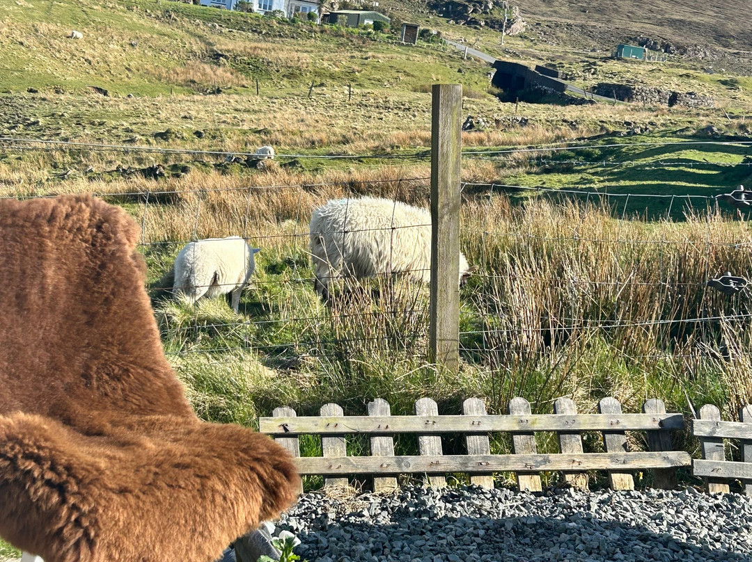 Gift Shop sheepskins skye-Glendale必去景点