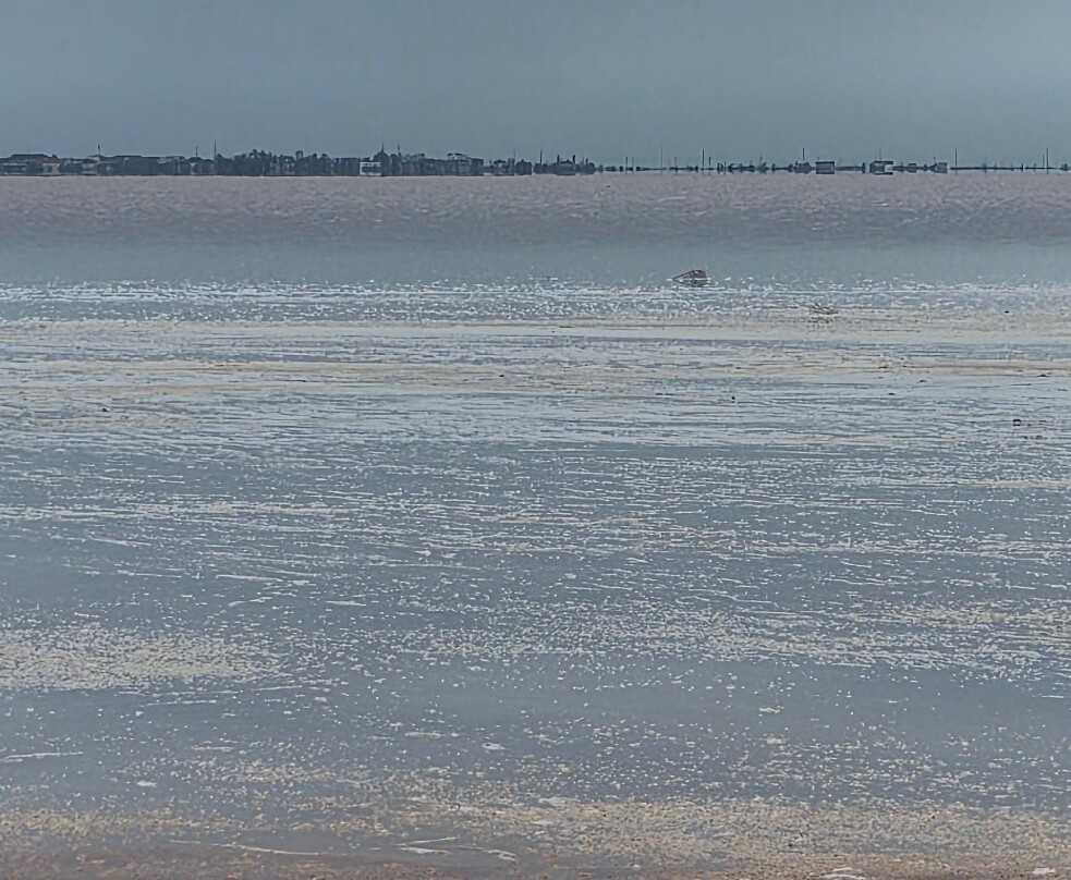 Sasyk-Syvash Lake-Yevpatoriya必去景点