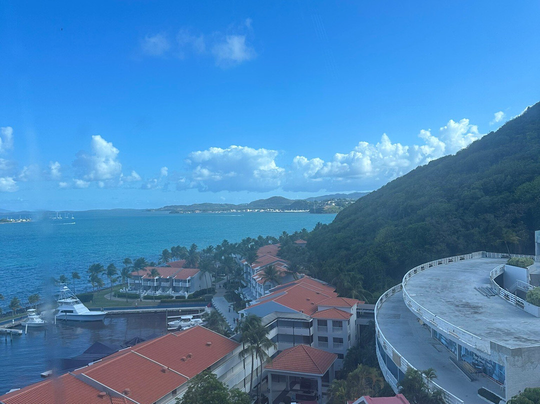埃尔康基斯塔多尔度假村-波多黎各主图