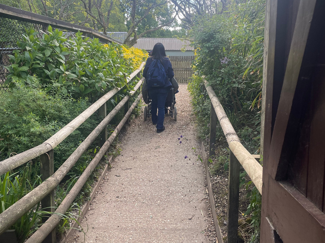 New Forest Wildlife Park-Ashurst必去景点