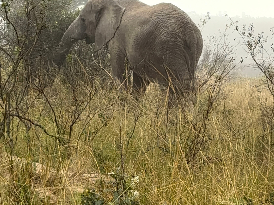 Imire: Rhino & Wildlife Conservation-韦扎必去景点