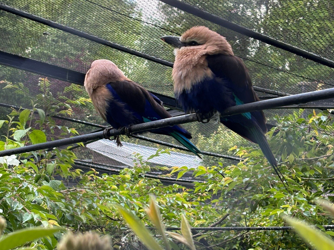 Le Parc de Clères-Cleres必去景点