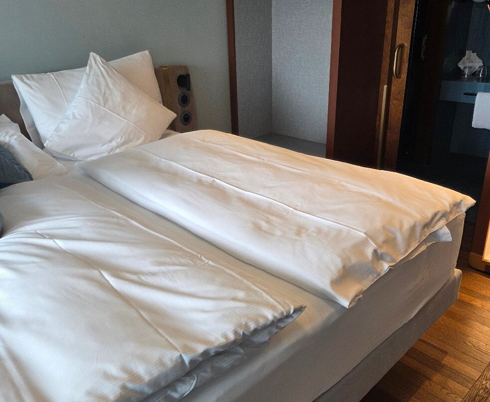 Hotel Aare图恩酒店主图