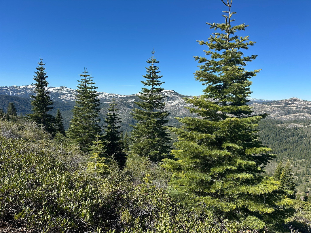 Tahoe Donner-特拉基必去景点