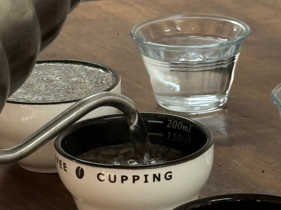 Hacienda Venecia Hostel主图