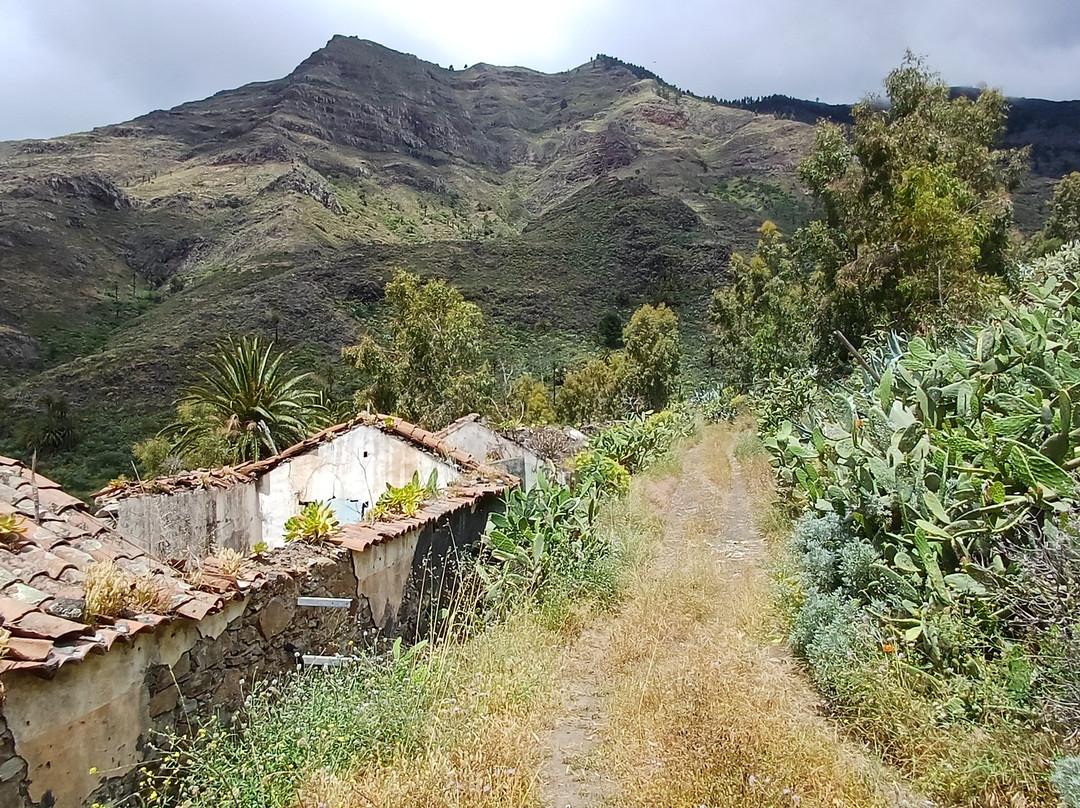 Ipalan Hiking Guided Tour-阿拉赫罗必去景点