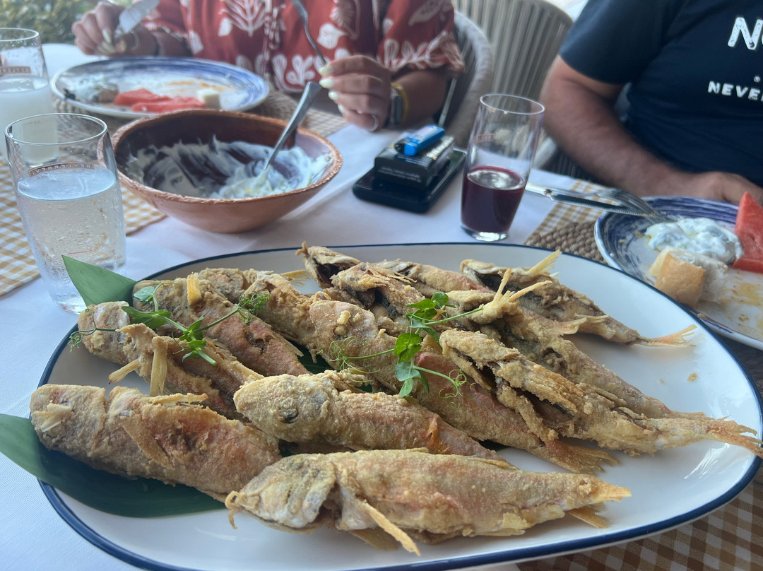Mouna Kemer