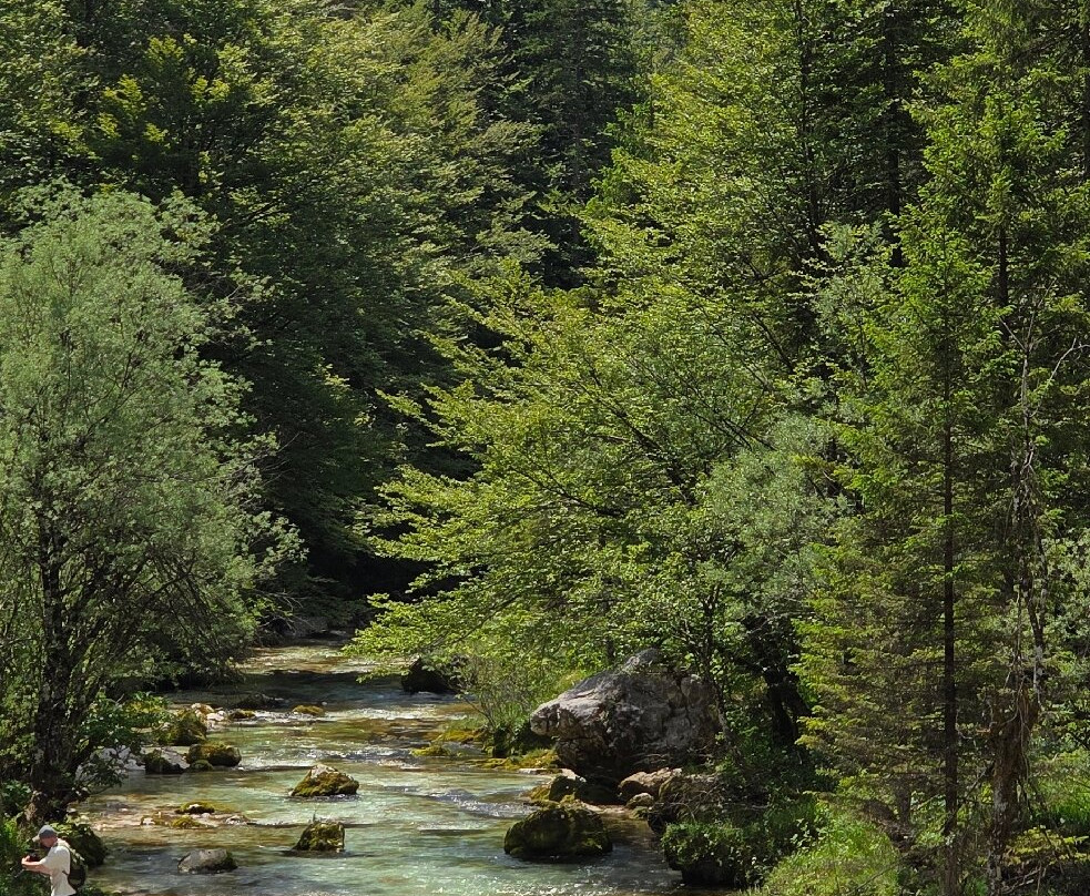 Mostnica Gorge-Stara Fuzina必去景点