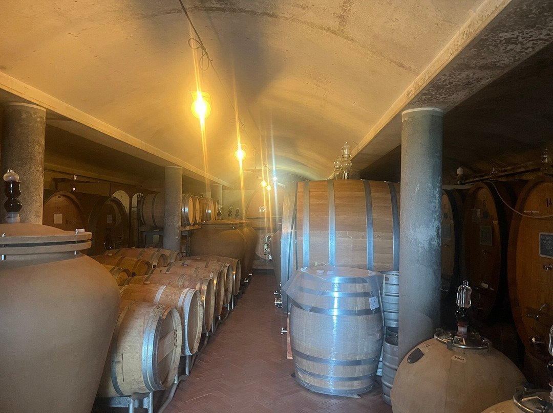 Podere Le Cinciole-Panzano in Chianti必去景点