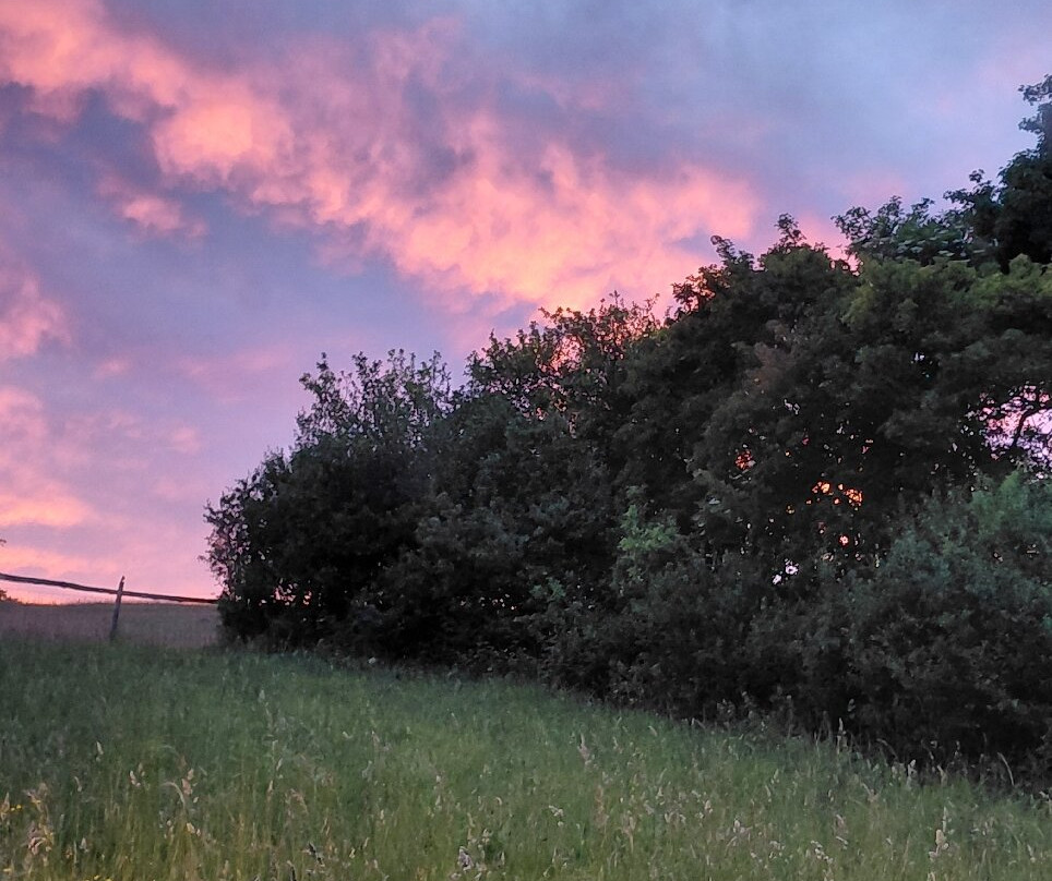 Badger Watch Dorset-Buckland Newton必去景点