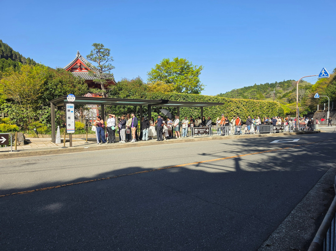 Katsuo-ji Temple-美浓市必去景点