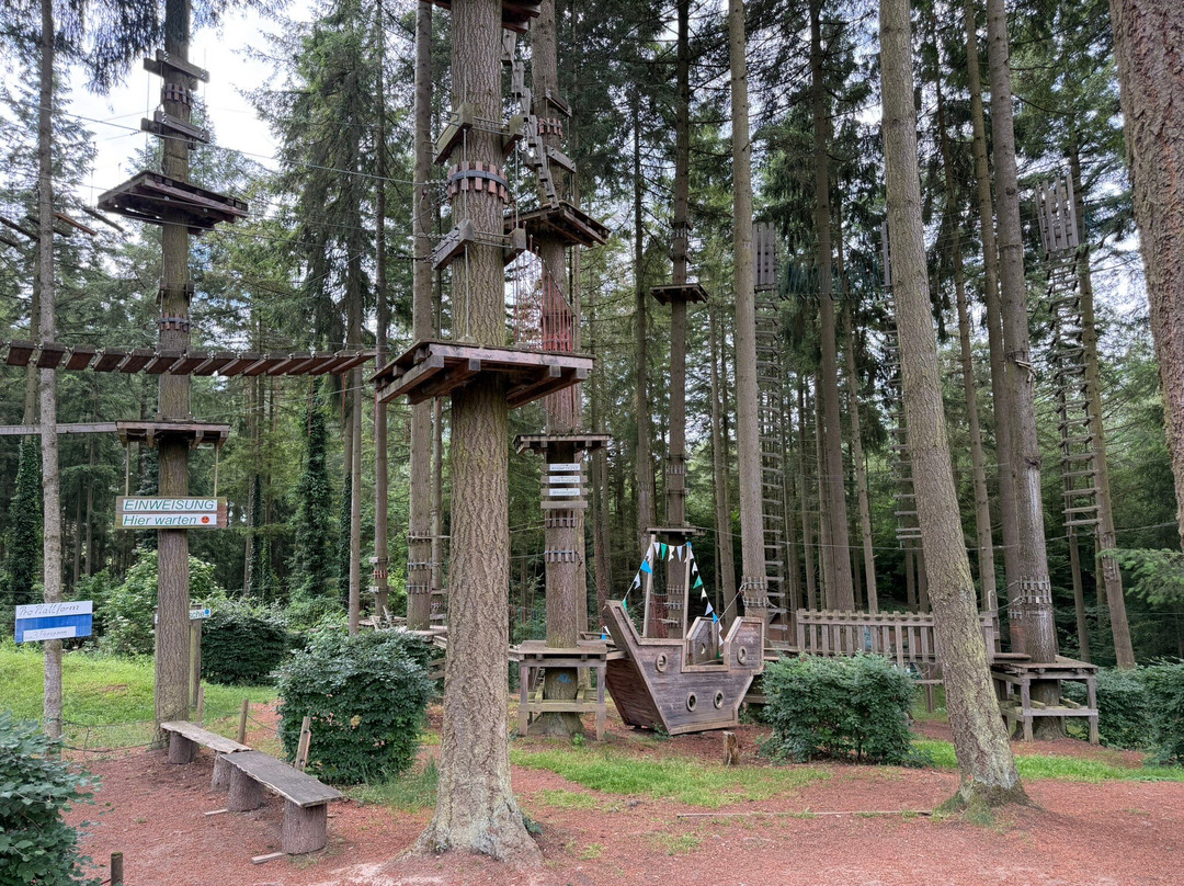 Adventureforest-Traben-Trarbach必去景点