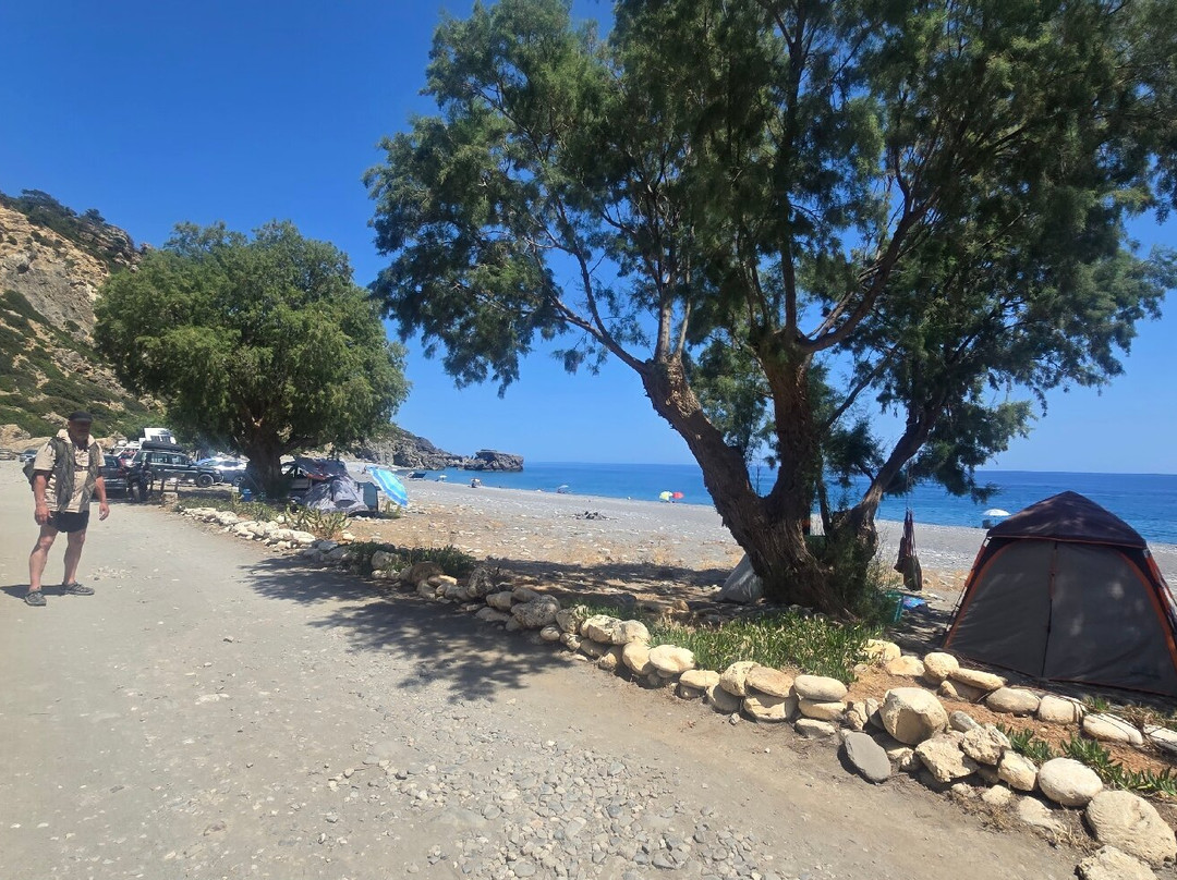 Sougia Beach-Sougia必去景点