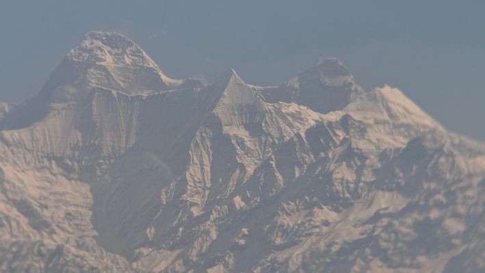 Nine Furlongs, Binsar Wildlife Sanctuary-酒店景观