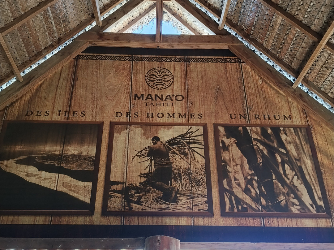 Arii Moana Tours-亚堤亚岛必去景点