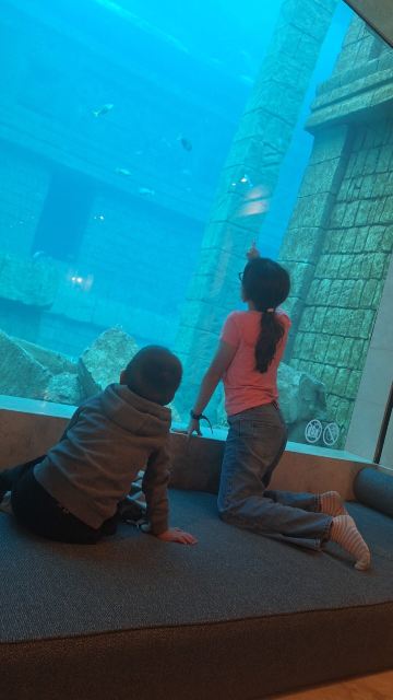 Pairi Daiza Resort-旅行者