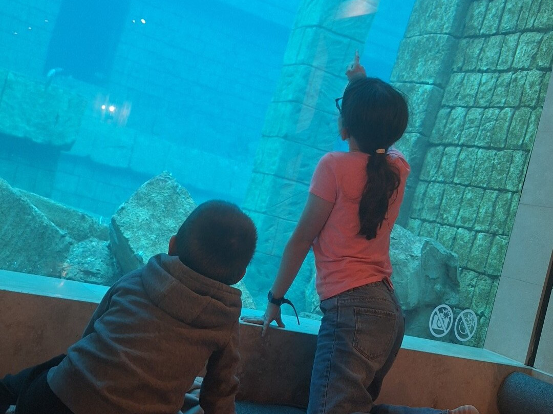 Pairi Daiza Resort主图